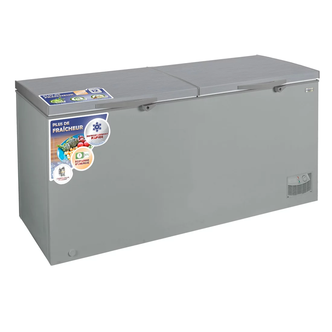 NASCO CONGELATEUR HORIZONTAL DEUX PORTES 600L - KNAS-900